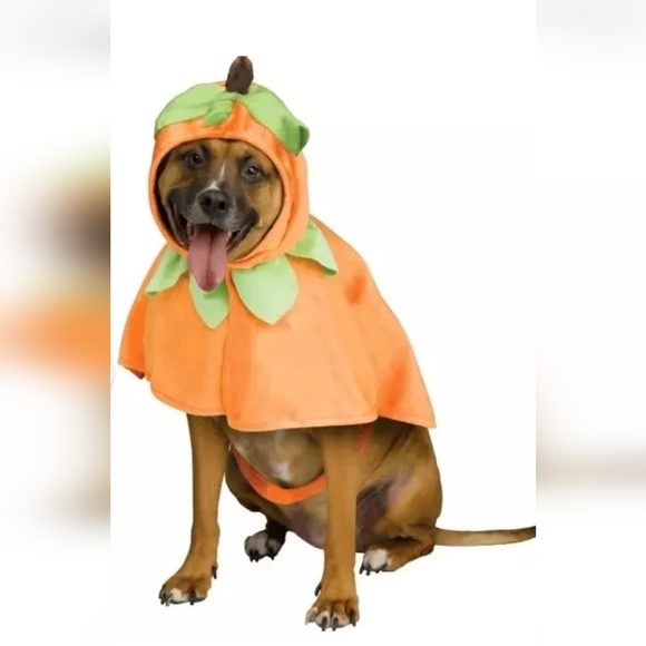 Spirit Halloween Pumpkin Pup Poncho Halloween Pet Costume New Size M 16-18 lbs - Picture 2 of 4